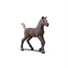 Schleich 81456 Sammelfohlen Darcy