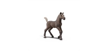 Schleich 81456 Sammelfohlen Darcy