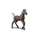 Schleich 81460 Sammelfohlen Darcy