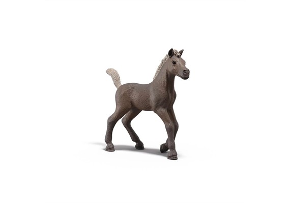 Schleich 81460 Sammelfohlen Darcy