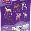 Schleich 81478 Sammelfohlen Ragnar | Bild 2