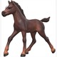 Schleich 81479 Sammelfohlen Ravi