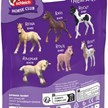 Schleich 81480 Sammelfohlen Ruby | Bild 2
