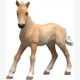 Schleich 81482 Sammelfohlen Reina