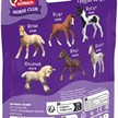 Schleich 81483 Sammelfohlen Rosie | Bild 2