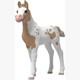 Schleich 81484 Sammelfohlen Rusty
