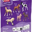 Schleich 81484 Sammelfohlen Rusty | Bild 2