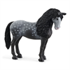 Schleich Horse Club 13922 - Pura Raza Espanola Stute