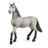 Schleich Horse Club 13924 - Pura Raza Espanola Jungpferd