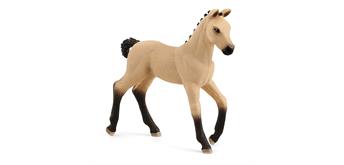 Schleich Horse Club 13929 Hannoveraner Fohlen, Falbe