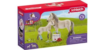 Schleich Horse Club 42430 Hannahs Erste Hilfe Set