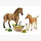 Schleich Horse Club 42432 Set Tierbaby-Pflege