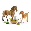 Schleich Horse Club 42432 Set Tierbaby-Pflege