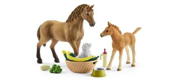 Schleich Horse Club 42432 Set Tierbaby-Pflege