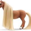 Schleich Horse Club 42585 Kim & Caramelo Starter Set | Bild 4