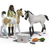 Schleich Horse Club 42777 Sarah´s Erste Hilfe Set