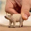 schleich® 14893 Wollschwein Ferkel | Bild 2
