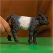 Schleich® Farm World 13969 Galloway Kalb | Bild 2