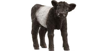 Schleich® Farm World 13969 Galloway Kalb