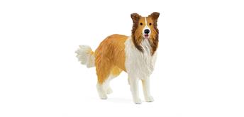 schleich® Farm World 13998 Collie