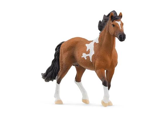 schleich® Horse Club 13978 Mangalarga Marchador Hengst