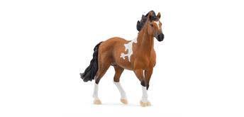 schleich® Horse Club 13978 Mangalarga Marchador Hengst