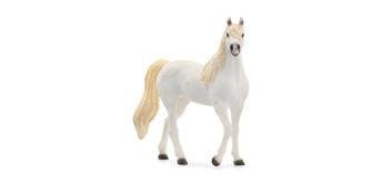 Schleich® Horse Club 13983 Araber Stute