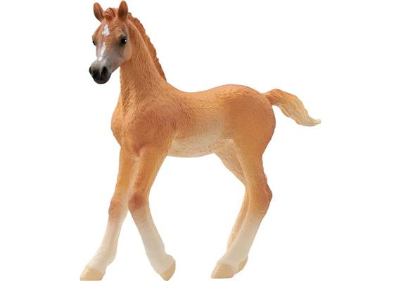 Schleich® Horse Club 13984 Araber Fohlen