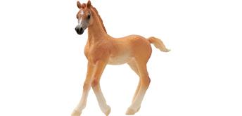 Schleich® Horse Club 13984 Araber Fohlen