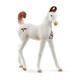 schleich® Horse Club 14896 Marwari Fohlen