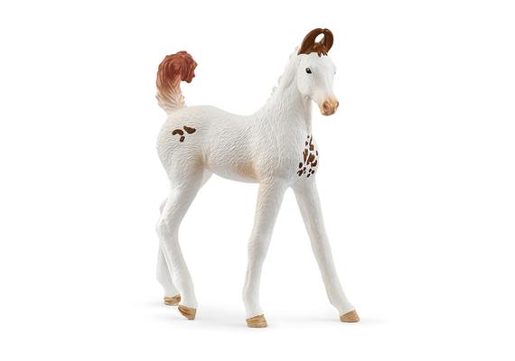 schleich® Horse Club 14896 Marwari Fohlen