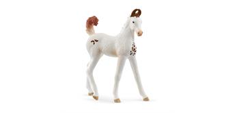 schleich® Horse Club 14896 Marwari Fohlen