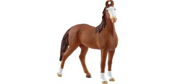 schleich® Horse Club 14897 Marwari Stute