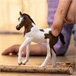 schleich® Horse Club 14899 Paint Horse Fohlen | Bild 2