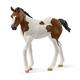 schleich® Horse Club 14899 Paint Horse Fohlen
