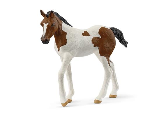 schleich® Horse Club 14899 Paint Horse Fohlen