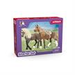 schleich® Horse Club 42738 Paso Peruano Starter-Set | Bild 3
