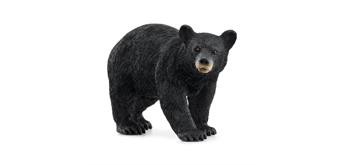 schleich® Wild LIfe 14869 Amerikanischer Schwarzbär