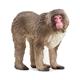 schleich® Wild LIfe 14871 Japanmakak