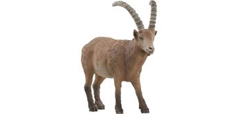 schleich® Wild LIfe 14873 Steinbock