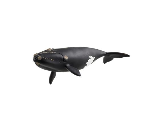 schleich® Wild Life 14878 Nordatlantischer Glattwal