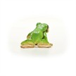 schleich® Wild Life 14882 Europäischer Laubfrosch | Bild 3