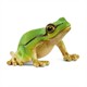 schleich® Wild Life 14882 Europäischer Laubfrosch