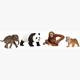 schleich® Wild Life 42736 Asien Starter-Set