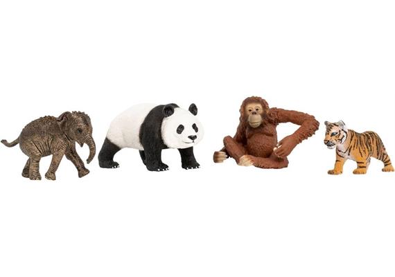 schleich® Wild Life 42736 Asien Starter-Set