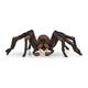 schleich® Wizarding World 13987 Aragog