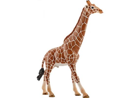 Schleich Wild Life 14749 Giraffenbulle 17 cm