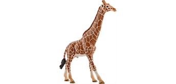 Schleich Wild Life 14749 Giraffenbulle 17 cm