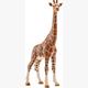 Schleich Wild Life 14750 Giraffenkuh 17.2 cm