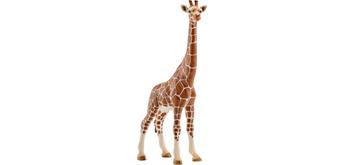 Schleich Wild Life 14750 Giraffenkuh 17.2 cm